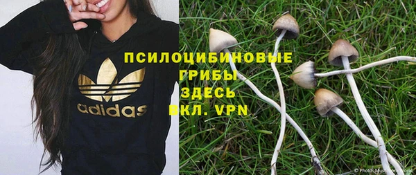 ALPHA-PVP Алексеевка