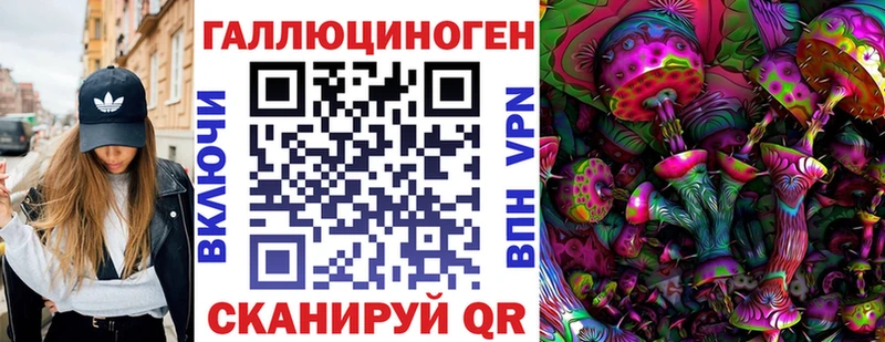 Псилоцибиновые грибы мицелий  Ставрополь 