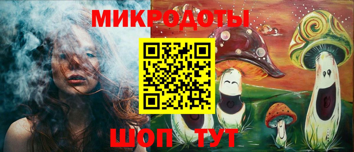 Псилоцибиновые грибы мицелий Ставрополь