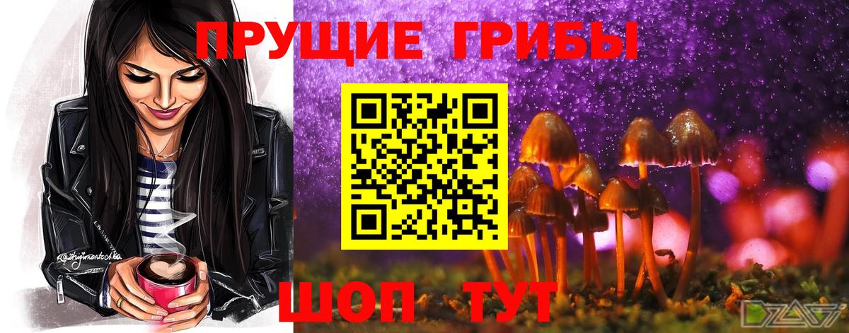 Галлюциногенные грибы Psilocybe  Вход с VPN  Ставрополь 